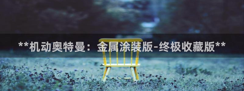 美高梅酒店老板