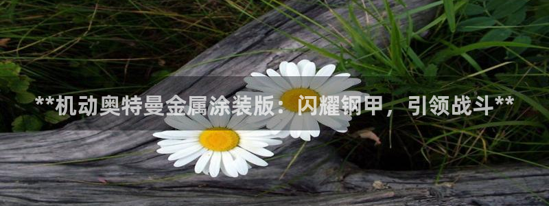 美高梅国际集团简介