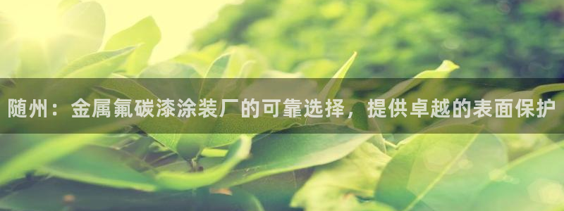 美狮美高梅酒店谁开的