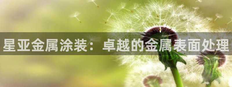 美高梅酒店标志