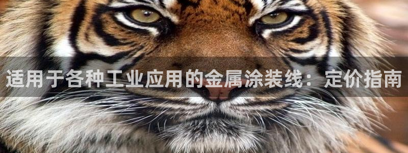 美高梅别墅户型图