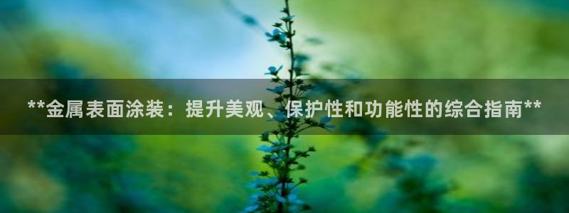 美高梅会员卡原始密码是多少