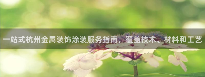 美高梅中国控股有限公司 介绍