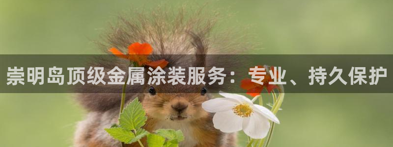 美高梅公司简介