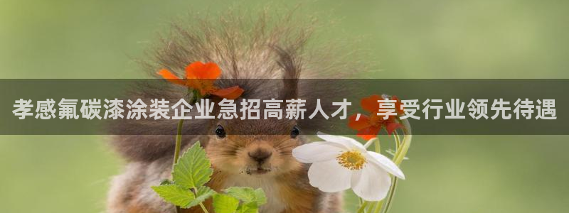 美高梅酒店属于什么档次