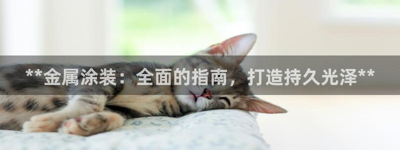 美高梅哪里领奶茶