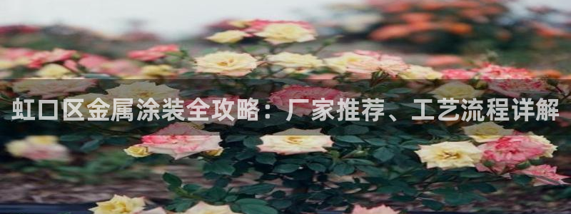 美狮美高梅酒店哪年开业