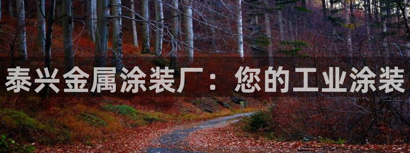 美高梅酒店logo