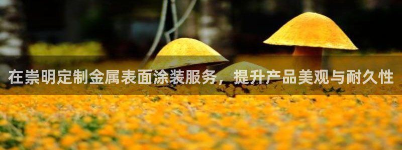 美狮美高梅酒店一晚多少钱