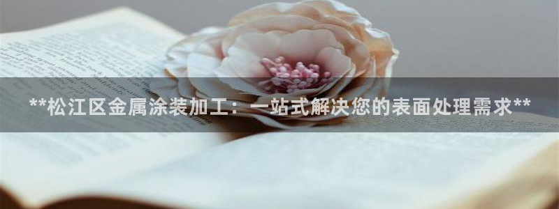 美高梅酒店哪年建成