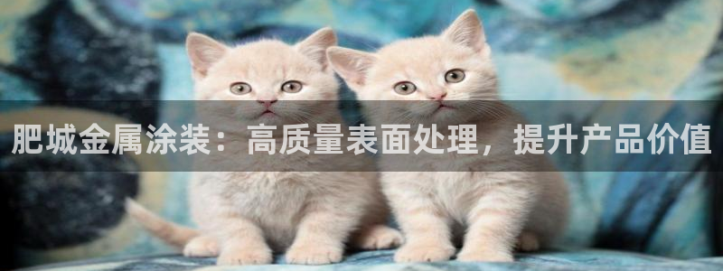 美狮美高梅酒店积分