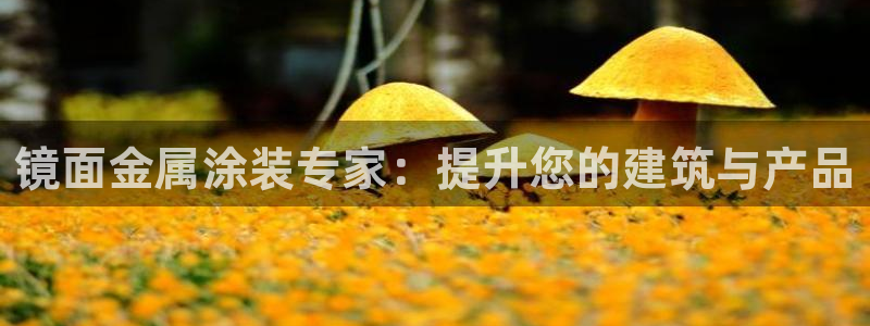 美高梅商场几点开门营业