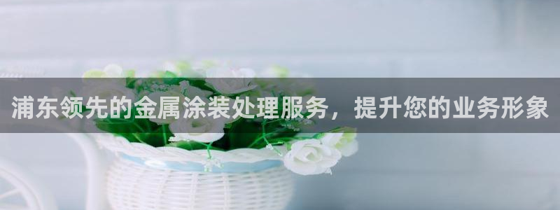 美高梅公司怎么样