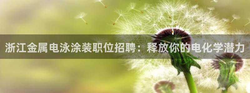美高梅是做什么的?