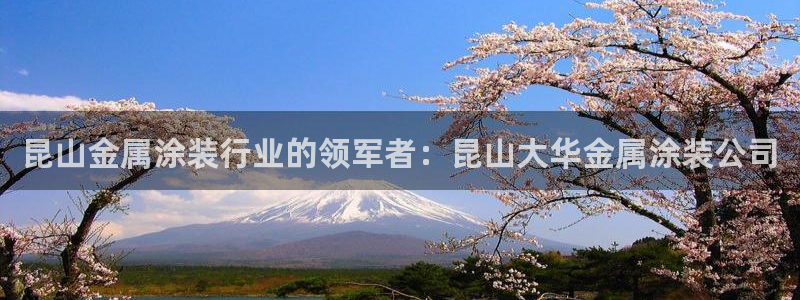 美高梅空中海洋秀到底在哪个地方