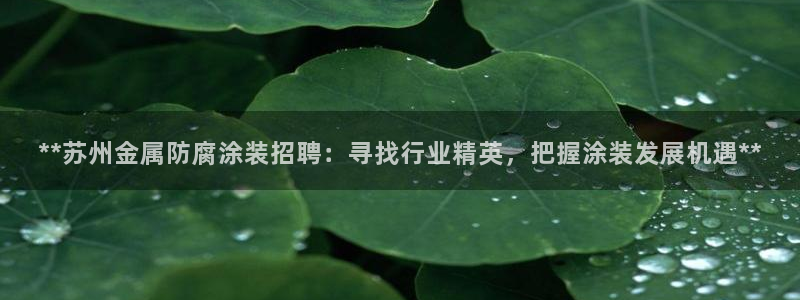 美高梅天幕广场表演