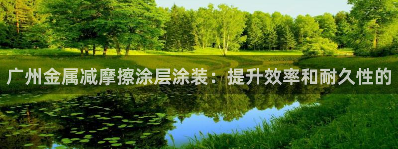 美狮美高梅酒店集团