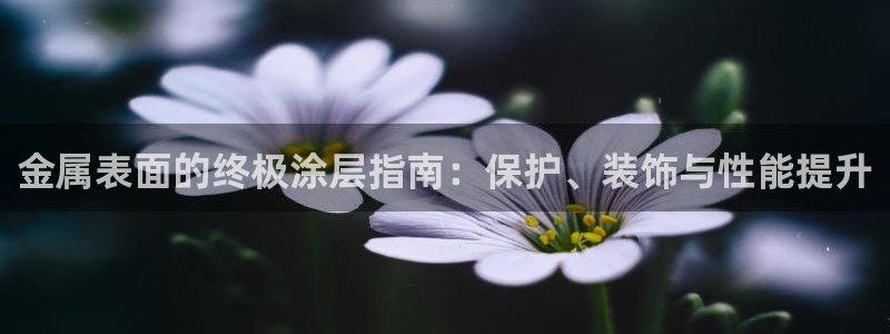 美高梅国际酒店集团创始人