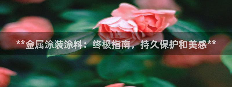 美狮美高梅酒店飞鱼表演时间