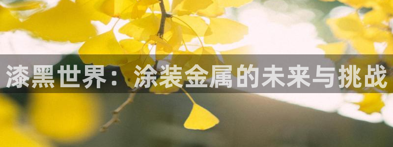 美高梅会员卡可以免宠物清洁费
