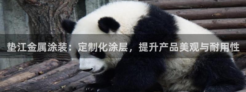 美狮美高梅酒店离哪个口岸近