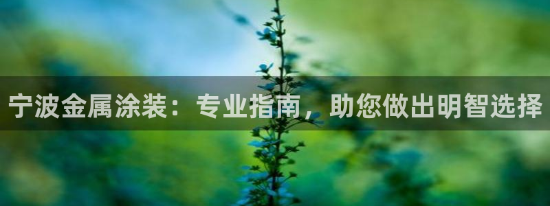 美高梅会员卡