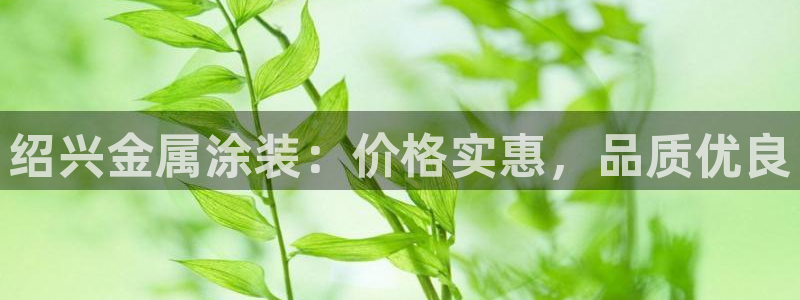 美高梅酒店香味
