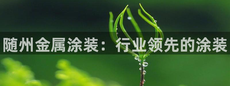 美高梅老板叫什么