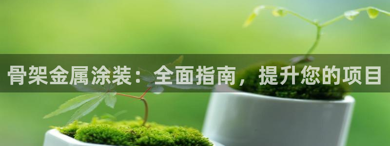 美高梅集团何超琼