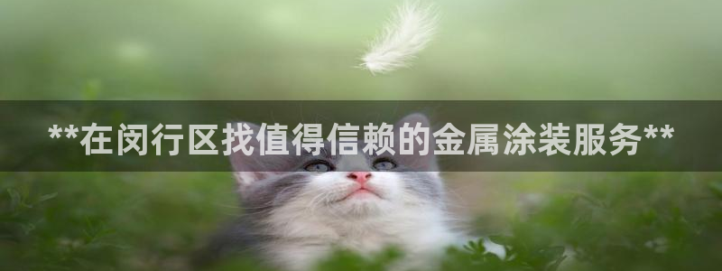美高梅黑我钱怎么办