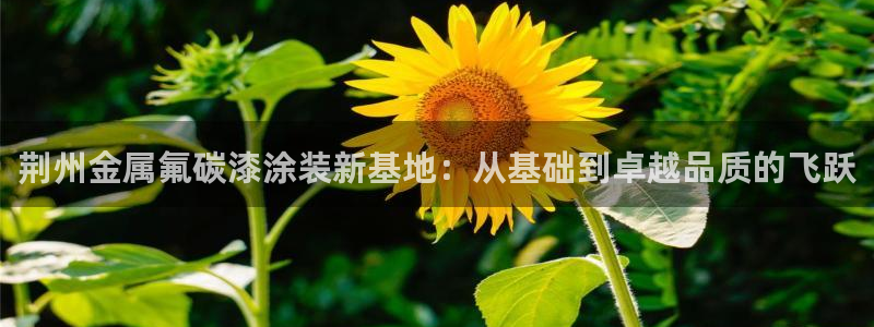 美高梅一千万筹码