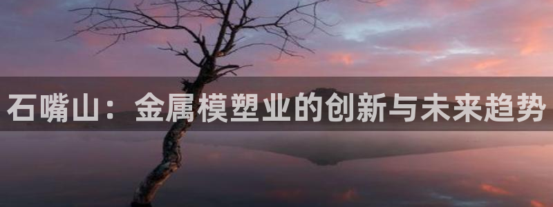 美高梅北京国际文化旅游发展有限公司