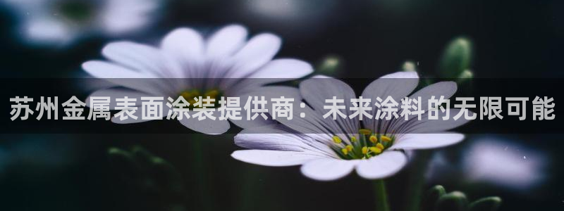 美狮美高梅酒店谁开的