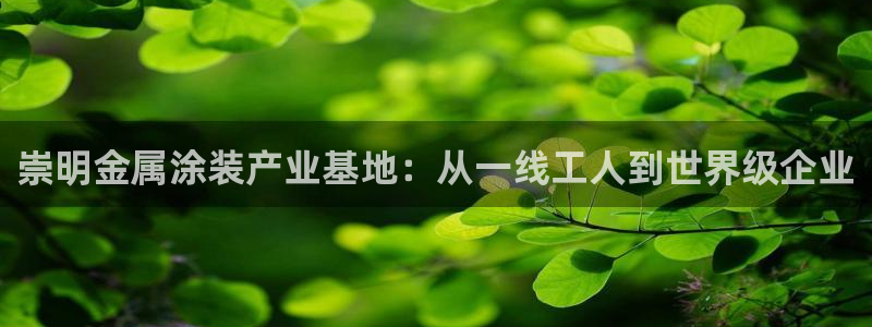 美高梅酒店旗下
