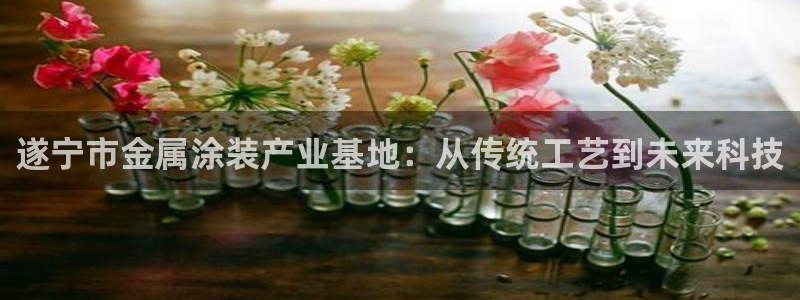 美高梅国际酒店集团介绍
