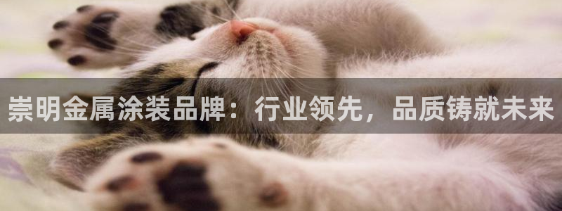 美高梅空气炸锅怎么样
